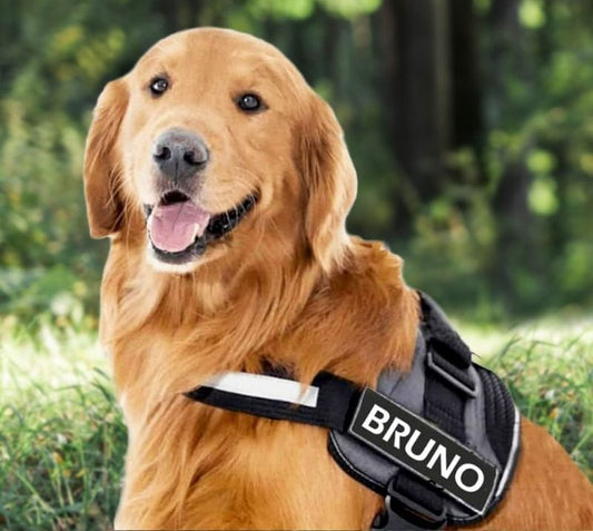 LUMARRO™   - CUSTOM FIT NO-PULL DOG HARNESS