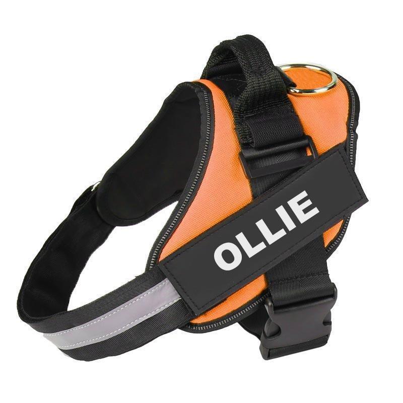 LUMARRO™   - CUSTOM FIT NO-PULL DOG HARNESS
