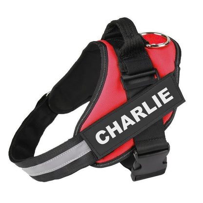 LUMARRO™   - CUSTOM FIT NO-PULL DOG HARNESS
