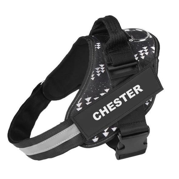 LUMARRO™   - CUSTOM FIT NO-PULL DOG HARNESS