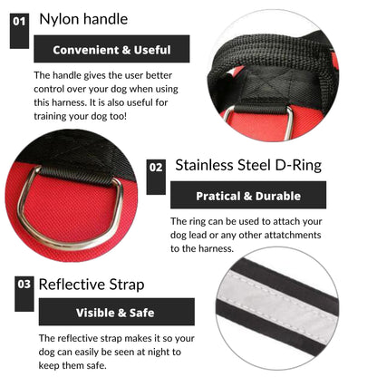 LUMARRO™   - CUSTOM FIT NO-PULL DOG HARNESS