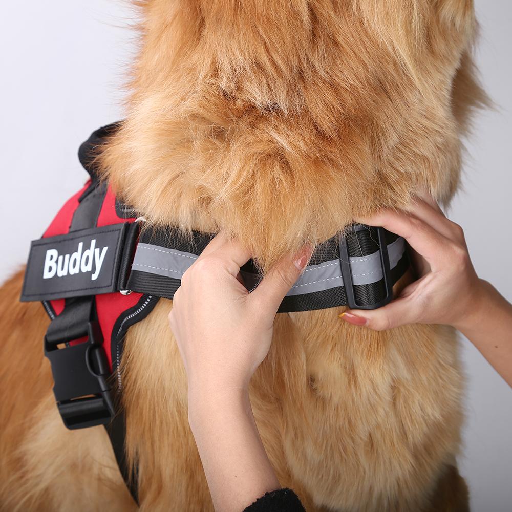 LUMARRO™   - CUSTOM FIT NO-PULL DOG HARNESS