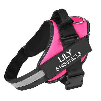 LUMARRO™   - CUSTOM FIT NO-PULL DOG HARNESS